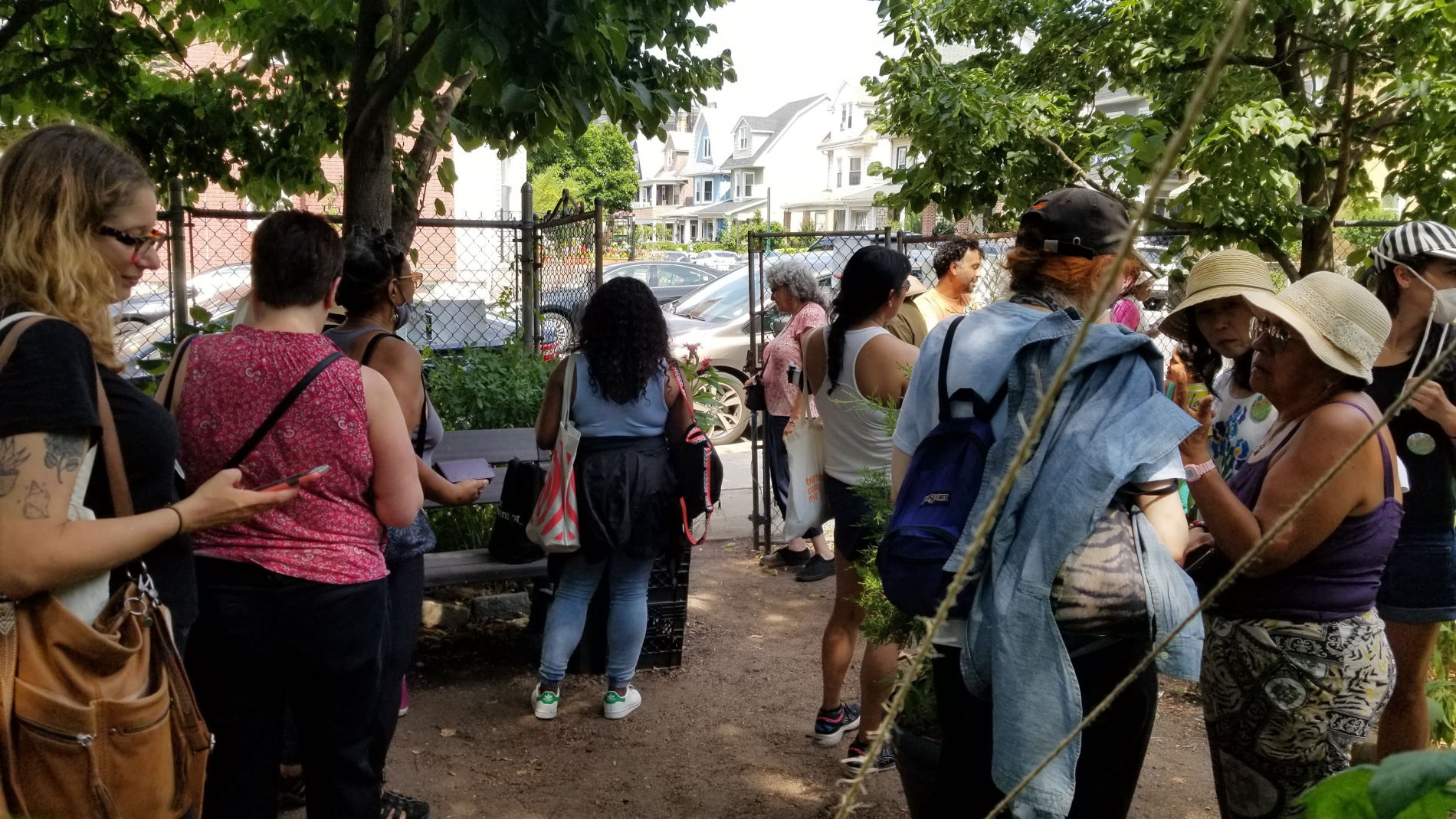 Around twelve people standing around and talking inside the garden, near the gate.